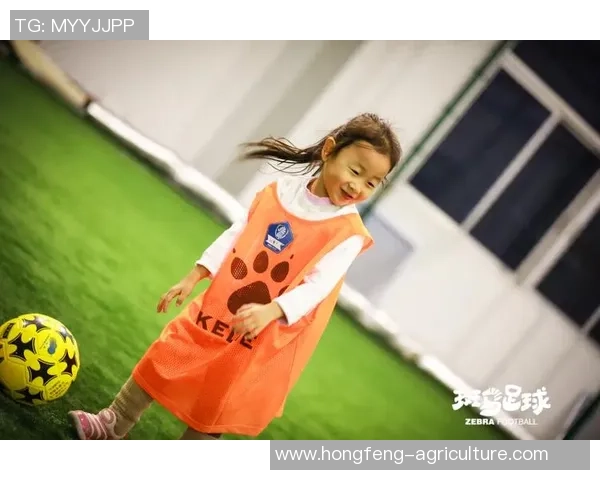 笨狼之足球明星带你领略绿茵场上的奇妙冒险与成长之路