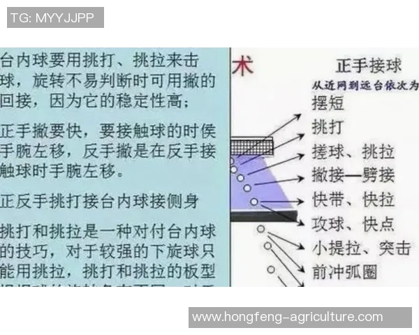 专业解读：深圳乒乓球队的快攻打法