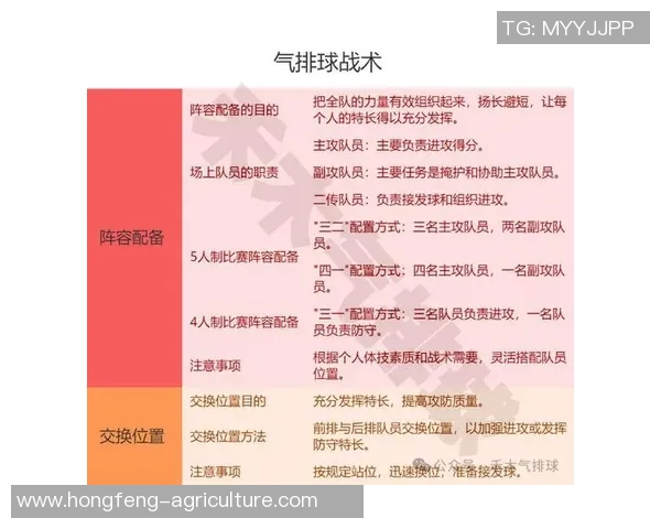 排球焦点：武汉排球队的战术探讨